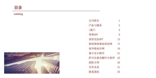 網絡科技公司產品項目及企業文化宣傳冊 紅色調